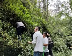 澓&L?b质?J?F,砓?焳?aO?U扳?鍏&6qG肎